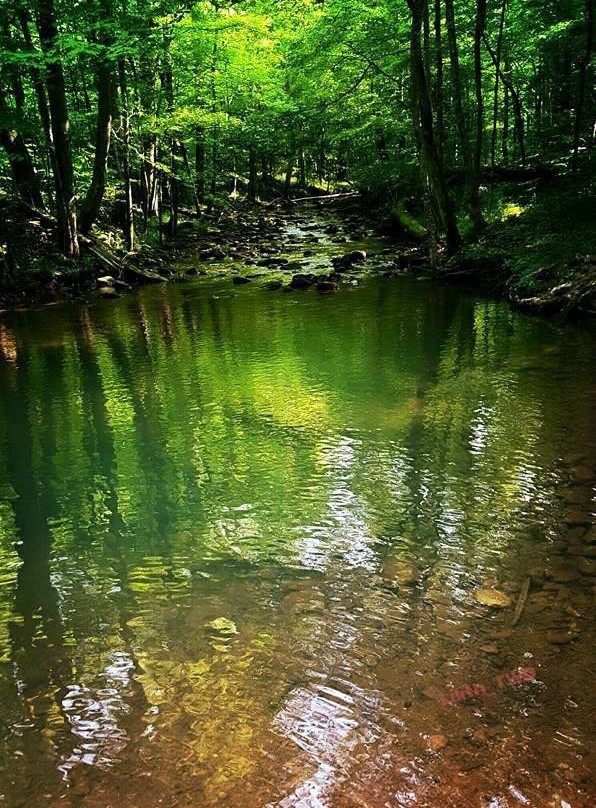 Frozen Head State Park-Wartburg必去景点