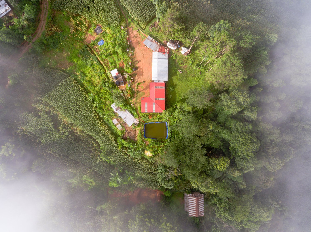 Phoolbari Homestay
