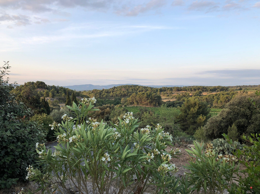 Domaine de Palatz主图