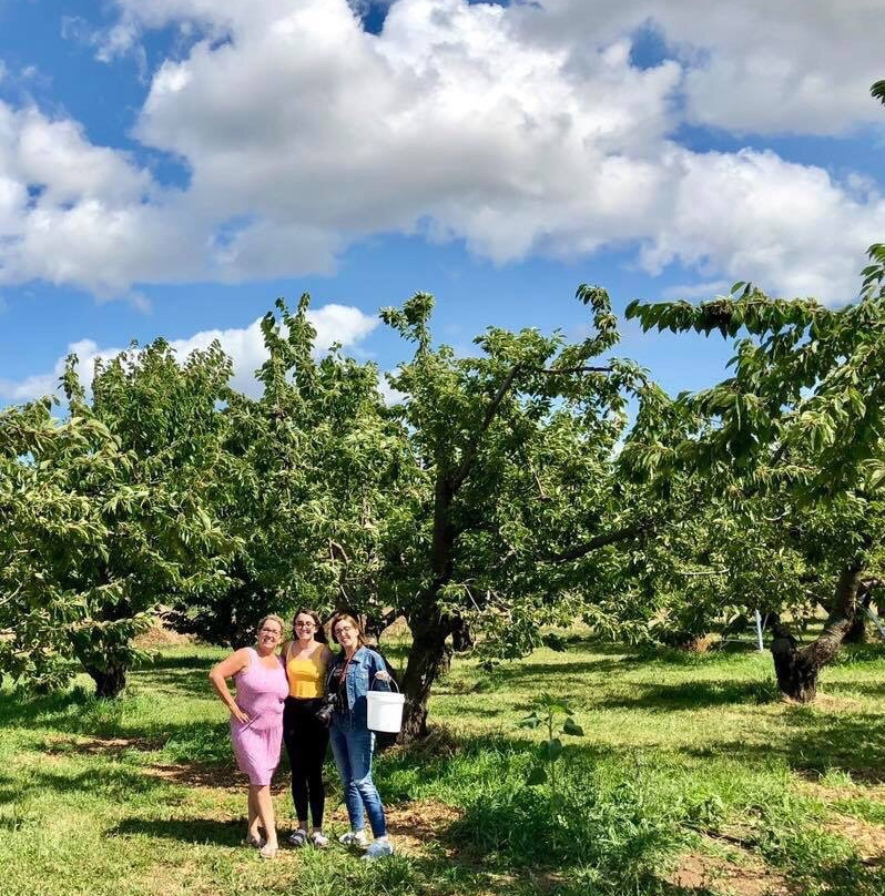 Hood River U-Pick Organic-胡德里弗必去景点