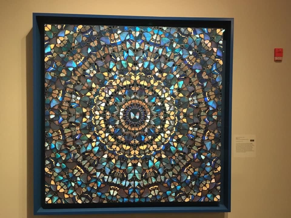 Jordan Schnitzer Museum of Art-尤金必去景点