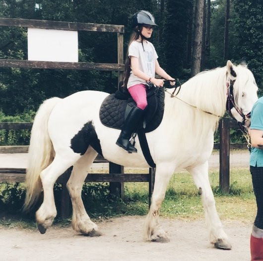 Pembrey Park Riding Centre景点图片