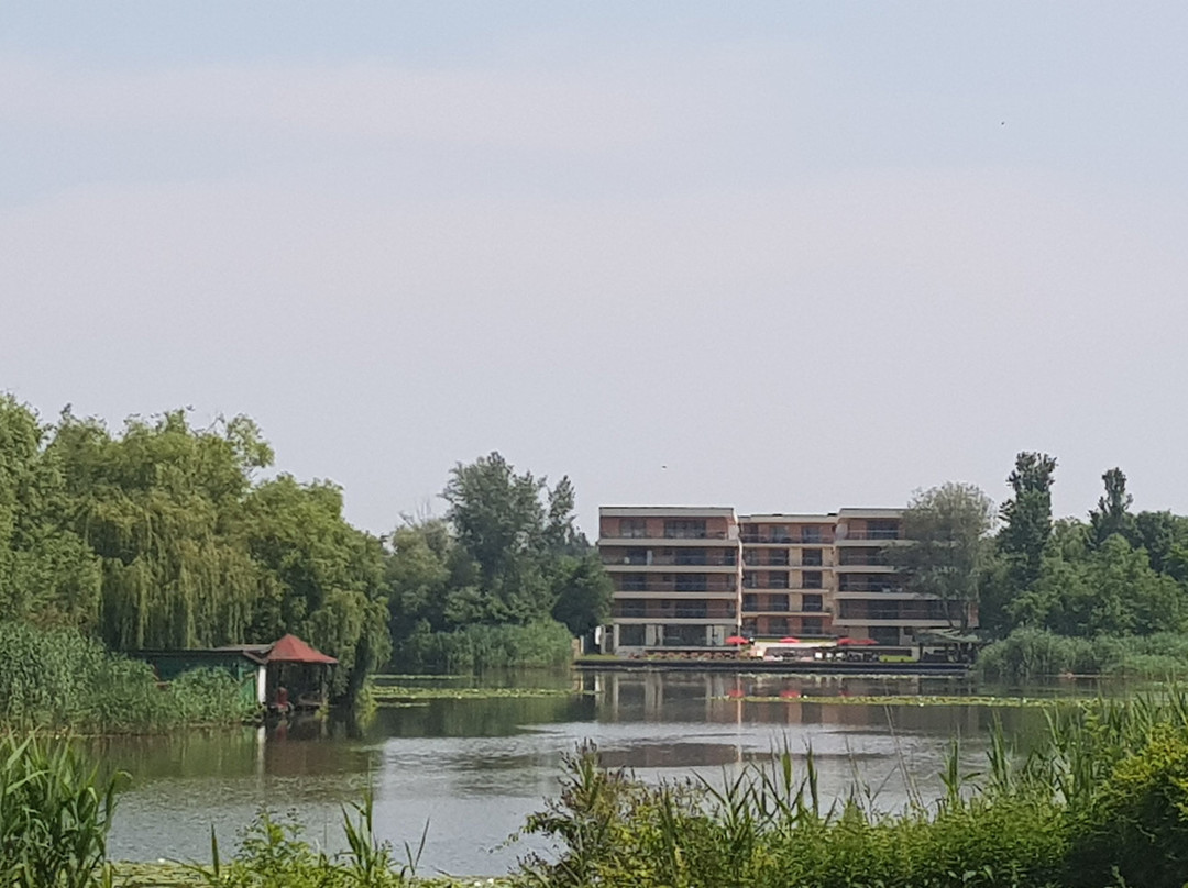 Snagov Lake Suites