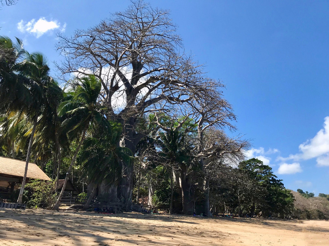 Plage de N'Gouja-Kanikeli必去景点