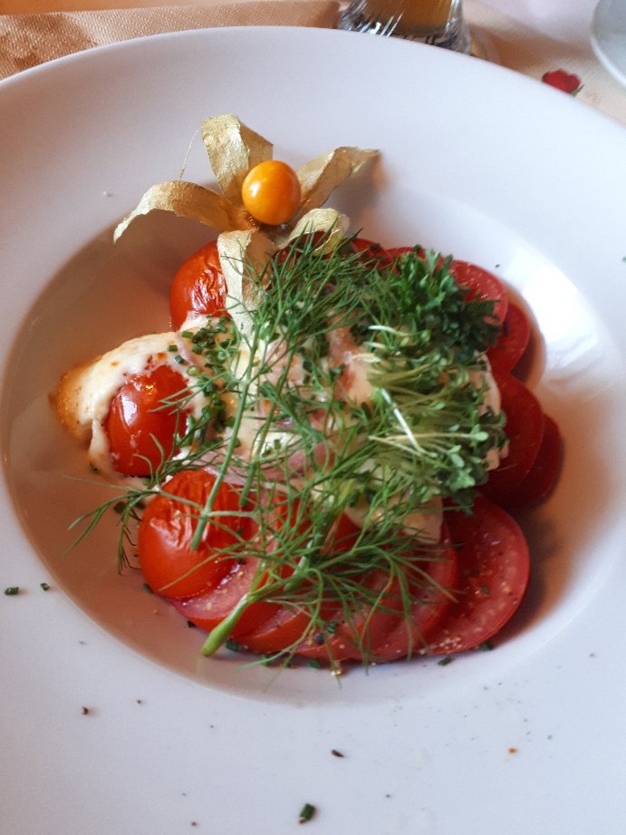 Landgasthaus Toedter-官方