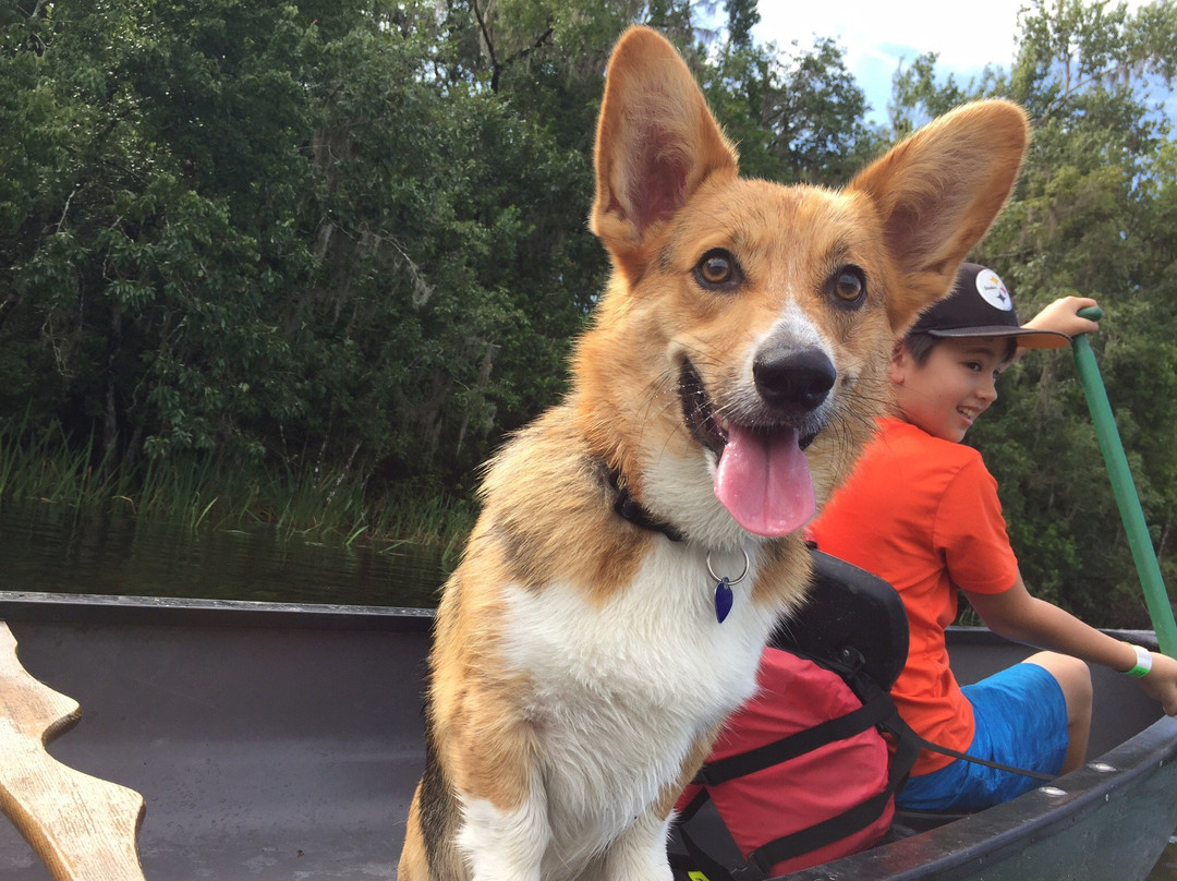 The Gator Den Motel主图