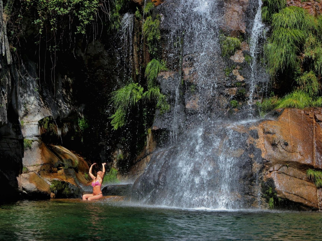 Do Tour Aveiro-阿威罗必去景点