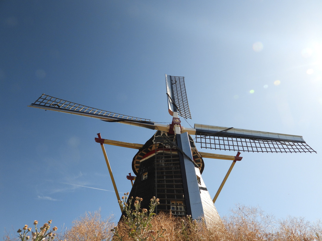 Molen De Grauwe Beer-Beesel必去景点