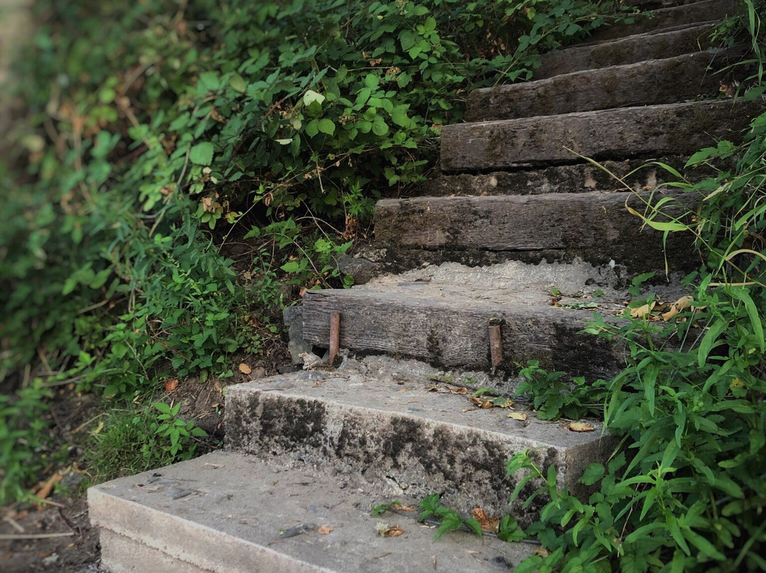 Motel Del Rogue主图