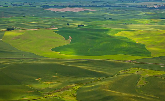 Palouse Tour-Colfax必去景点