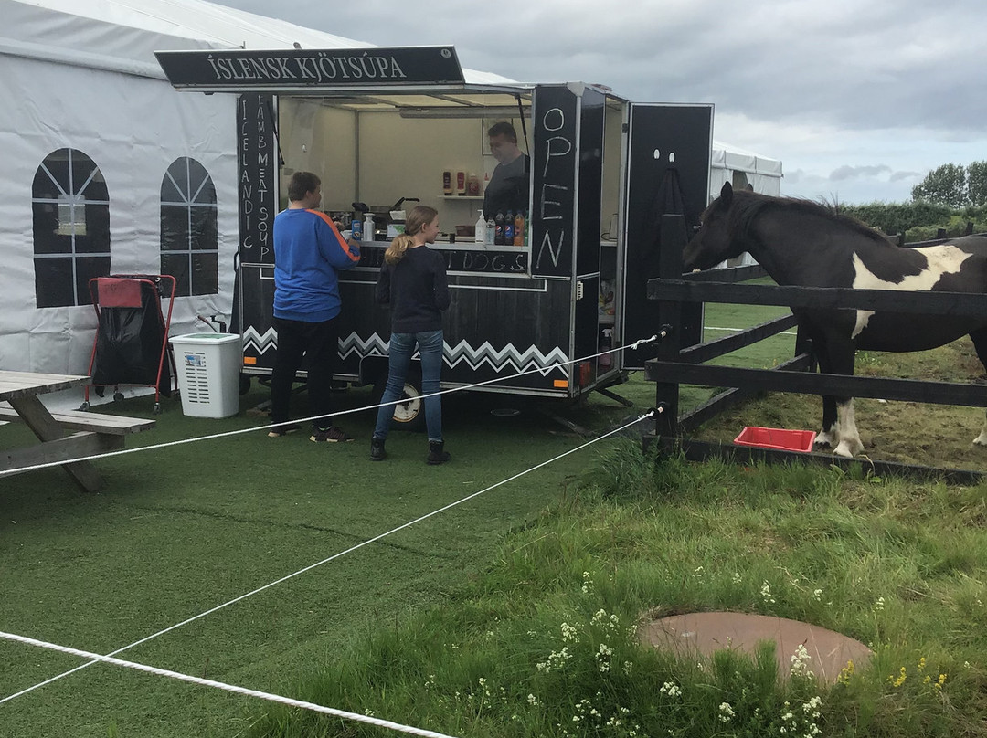 Heimavöllur Hestsins-霍尔斯沃德吕尔镇必去景点