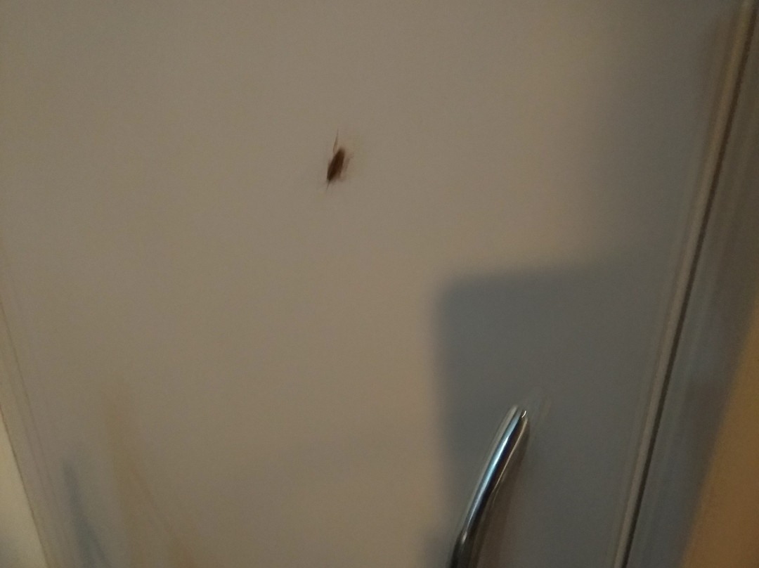 Fairmont Motor Lodge主图