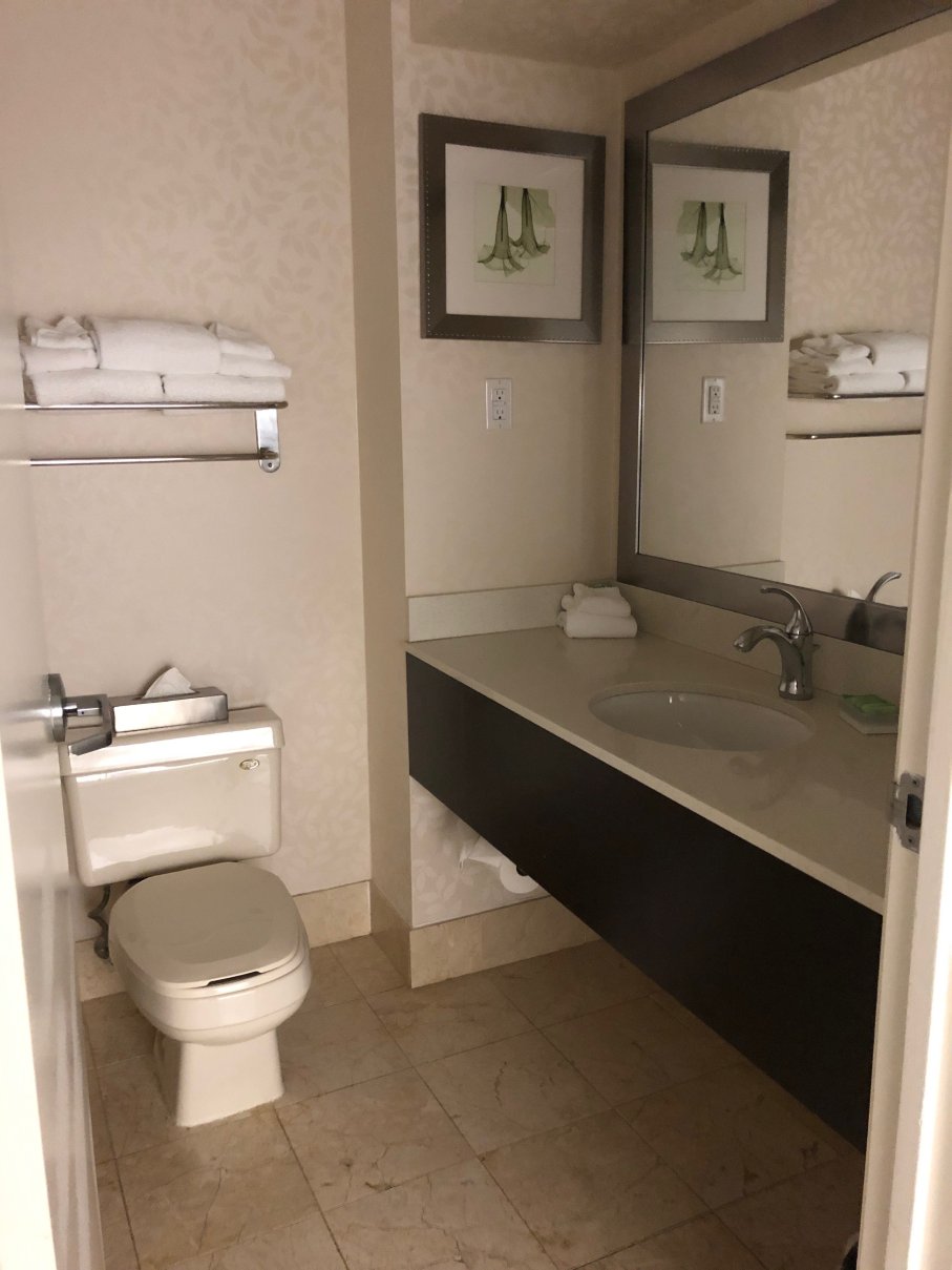 Holiday Inn & Suites 温莎（大使桥） by IHG-浴室