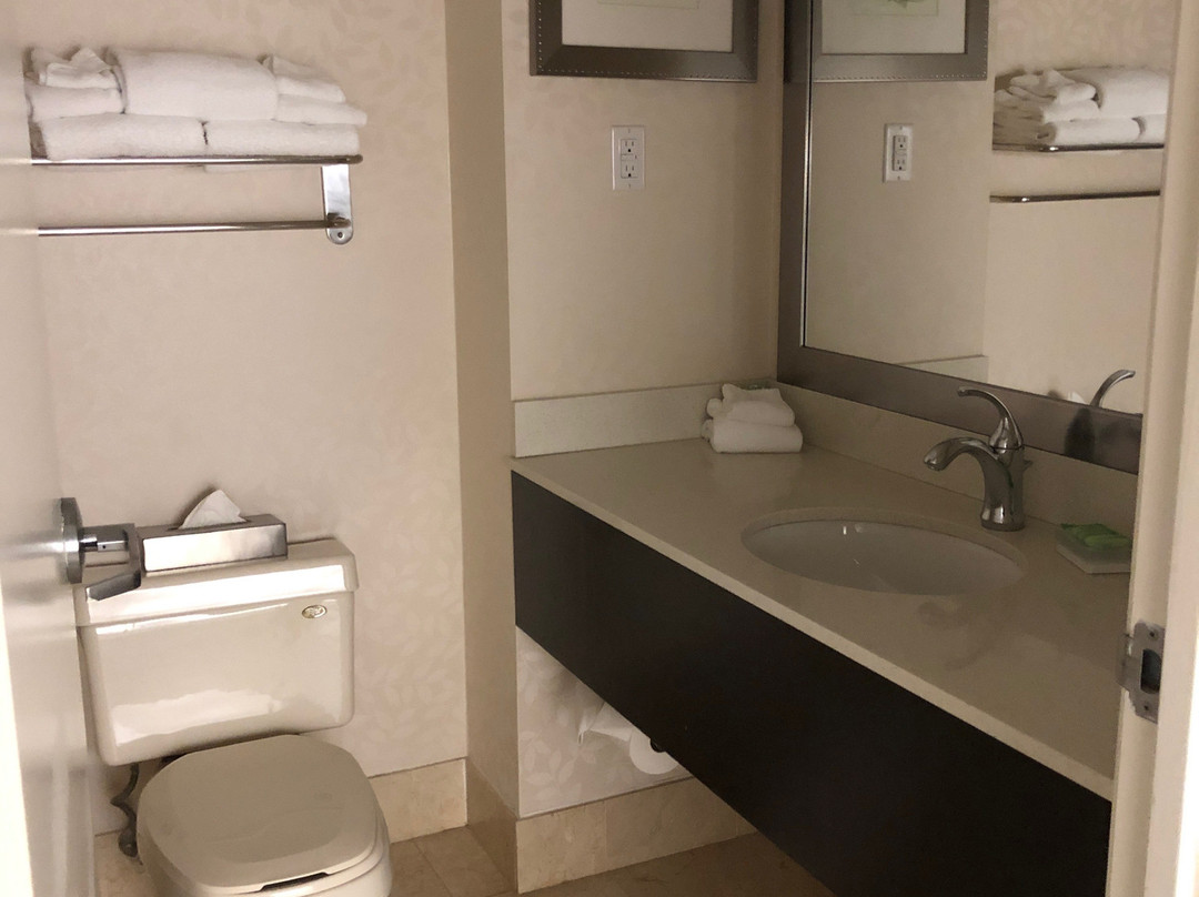 Holiday Inn & Suites 温莎（大使桥） by IHG主图