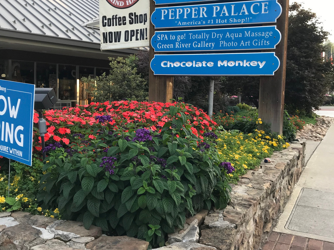 Tramway Mall-盖林柏格必去景点