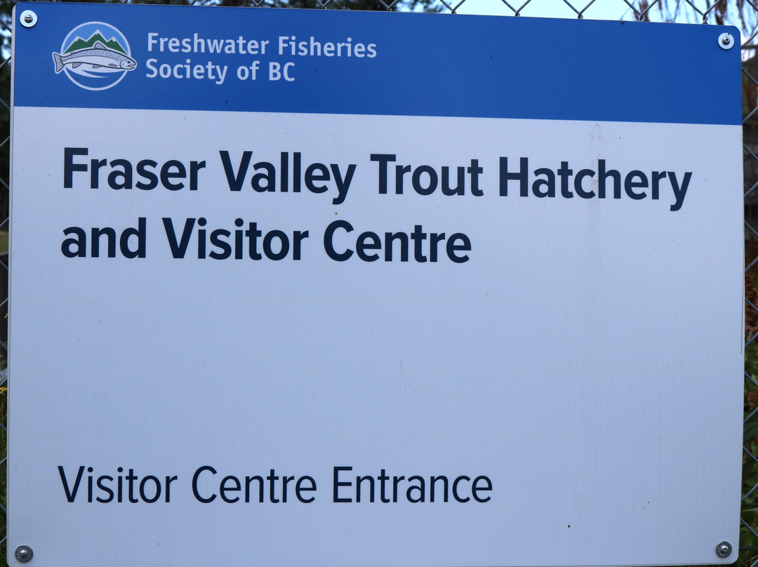Fraser Valley Trout Hatchery & Visitor Centre景点图片