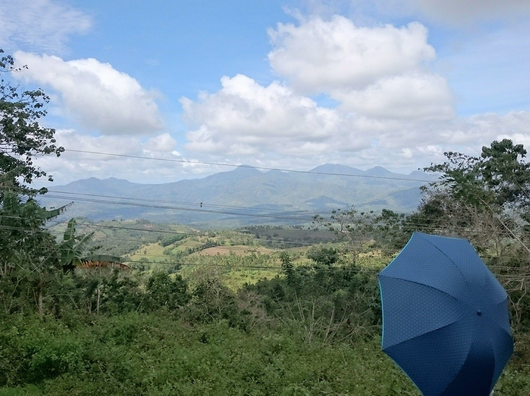 Mt Palpalan景点图片