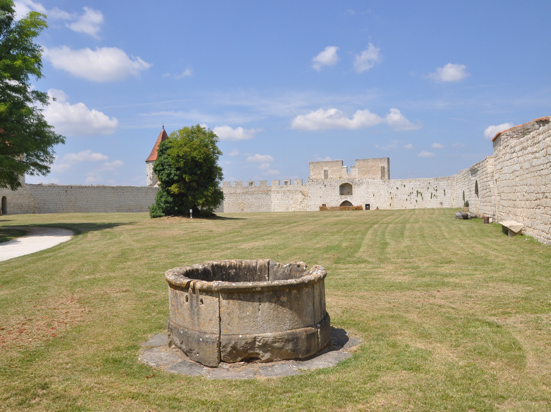 Chateau de Villebois-Lavalette景点图片