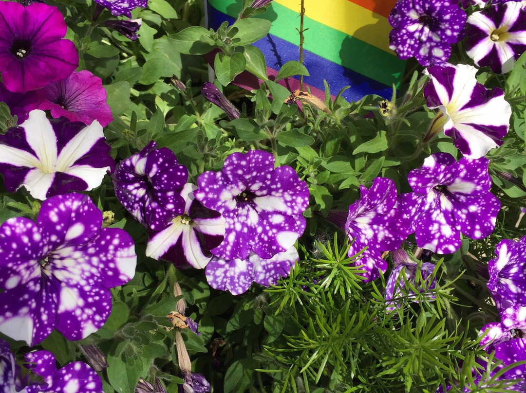 Historic Gaslight District-皮托斯基必去景点