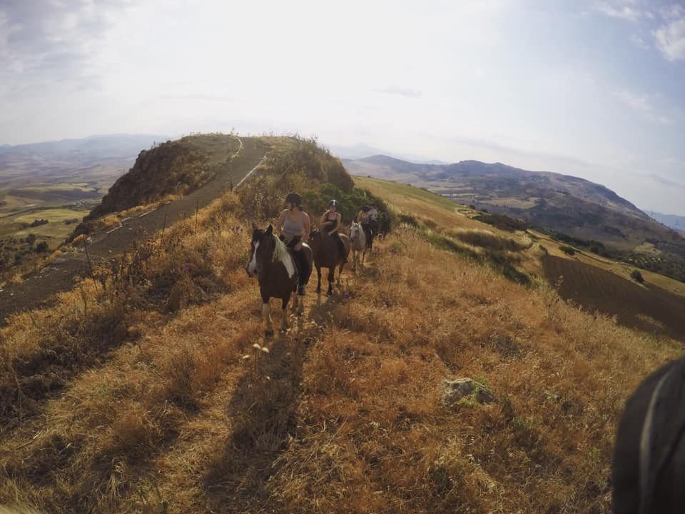 Horse Riding at Pippa's Paddock景点图片