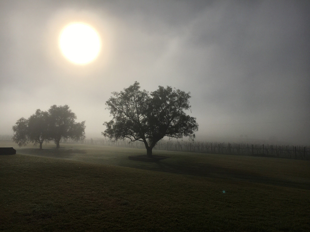 Two Rivers Wines-Denman必去景点