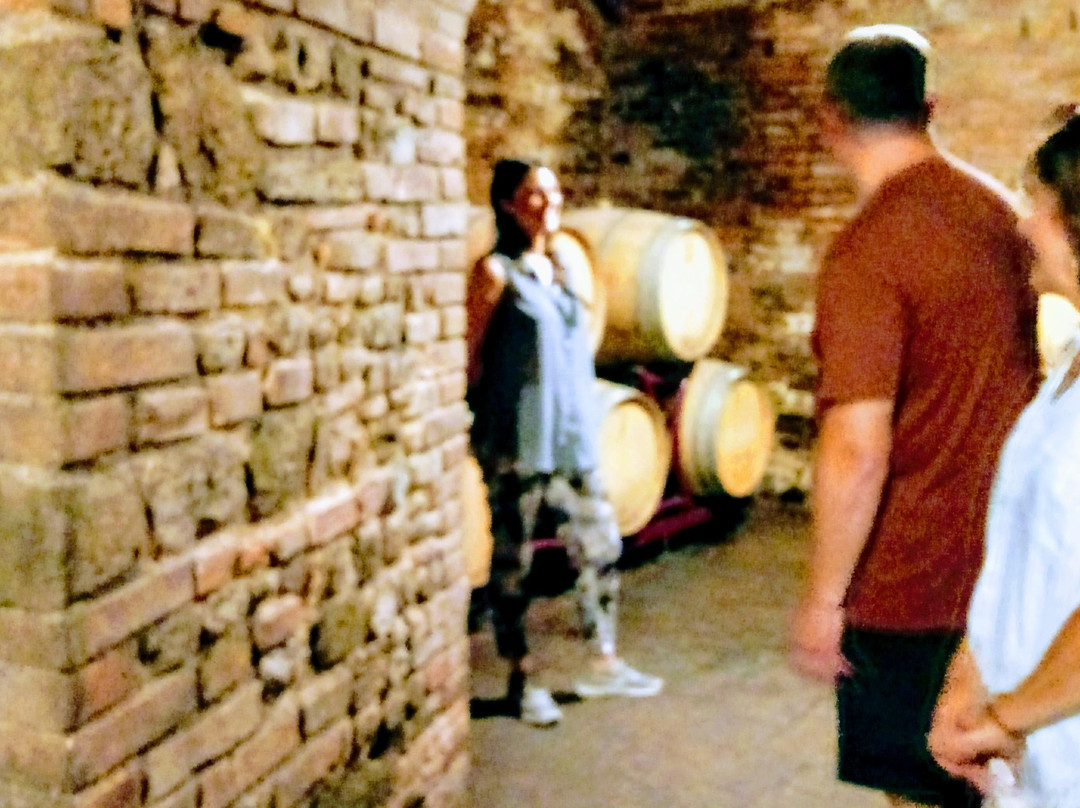 Fattoria di Fiano, Ugo Bing-Marcialla必去景点