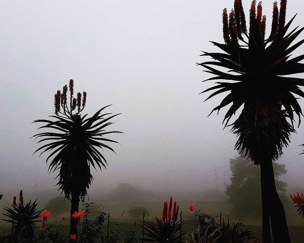 Garden Court Mthatha主图