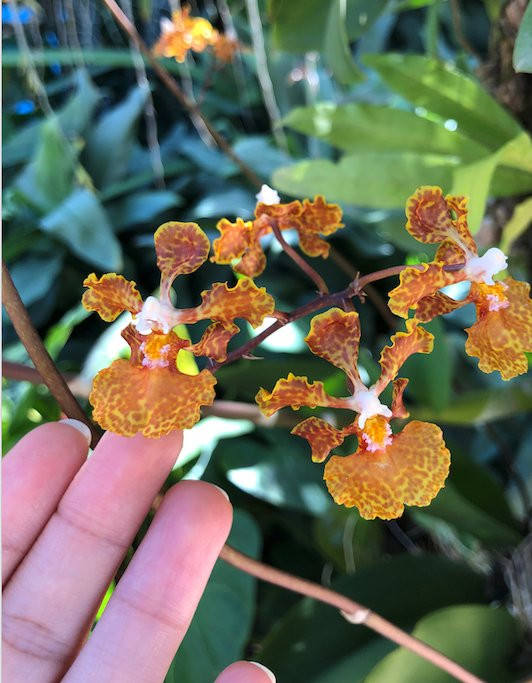 Hostal Los Torralbo主图