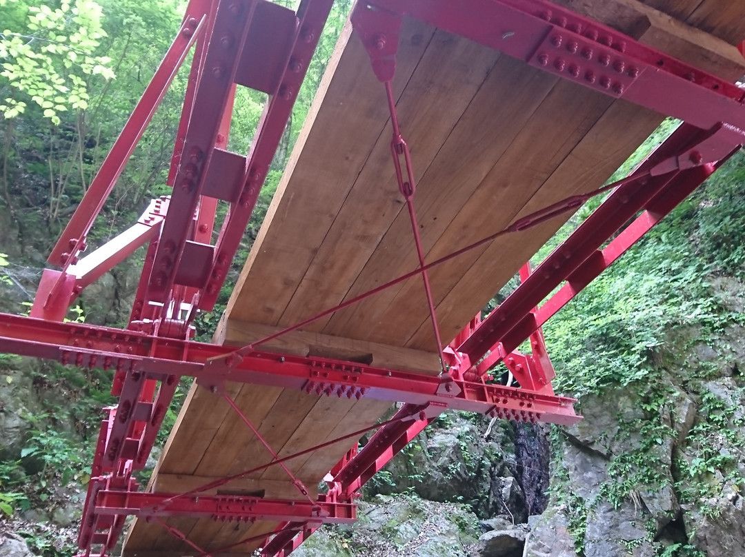 Tendaki Falls-养父市必去景点