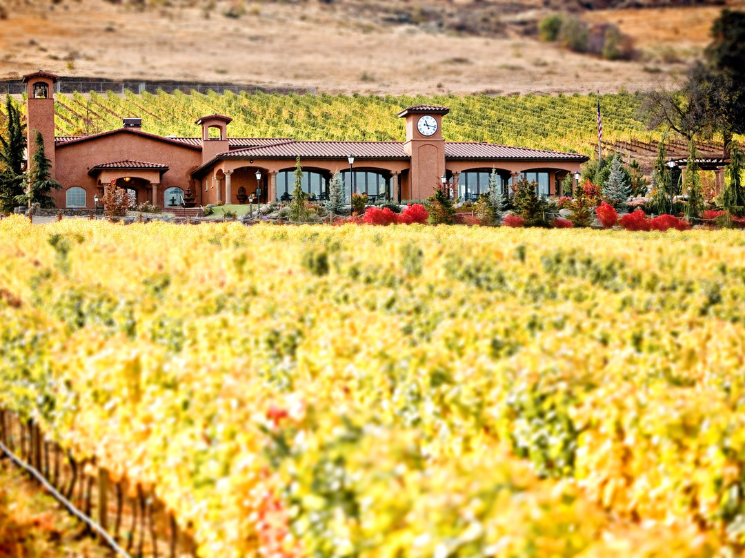 Tsillan Cellars Winery景点图片