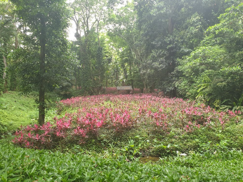 Hotel Antigua Mision Parque & Spa主图