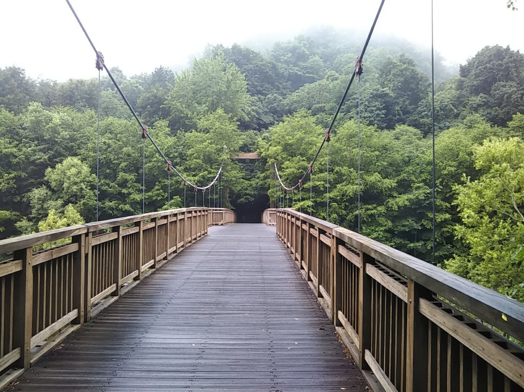 Deai-bashi Bridge-十和田市必去景点