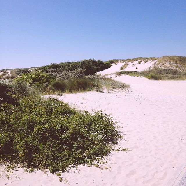 The Dunes of Bredene-布雷德内必去景点