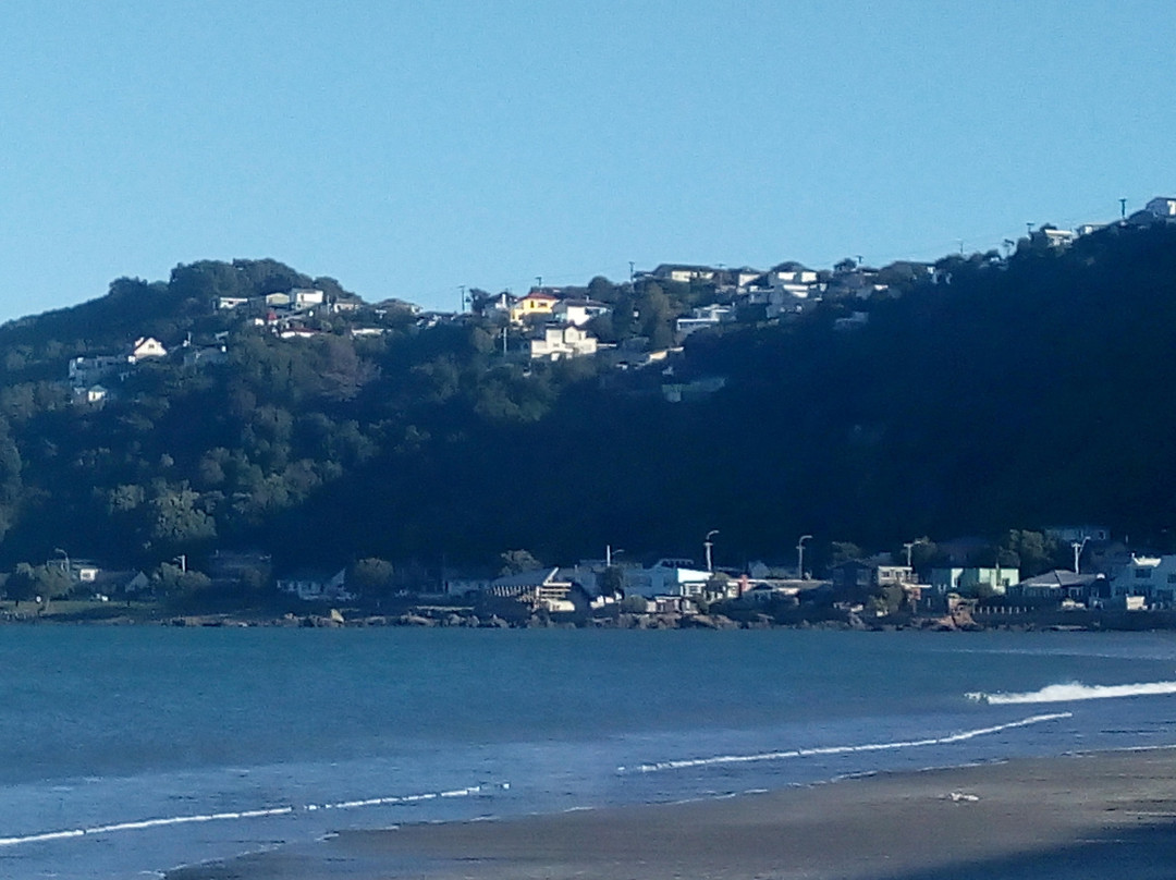 Lyall Bay景点图片