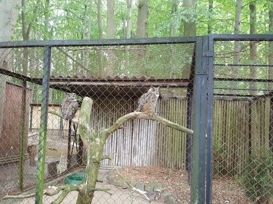 Tierpark Stralsund-施特拉尔松德必去景点