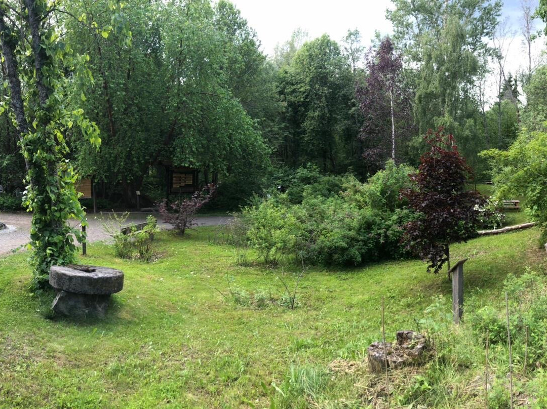 Arboretum Norr-于默奥必去景点