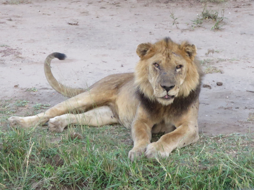 Lakato Safaris-坎帕拉必去景点