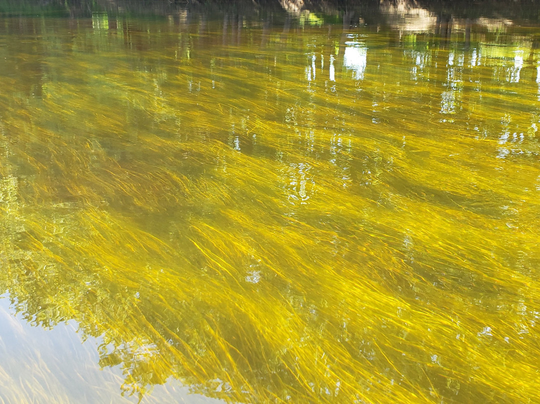 Contoocook River Canoe Company景点图片