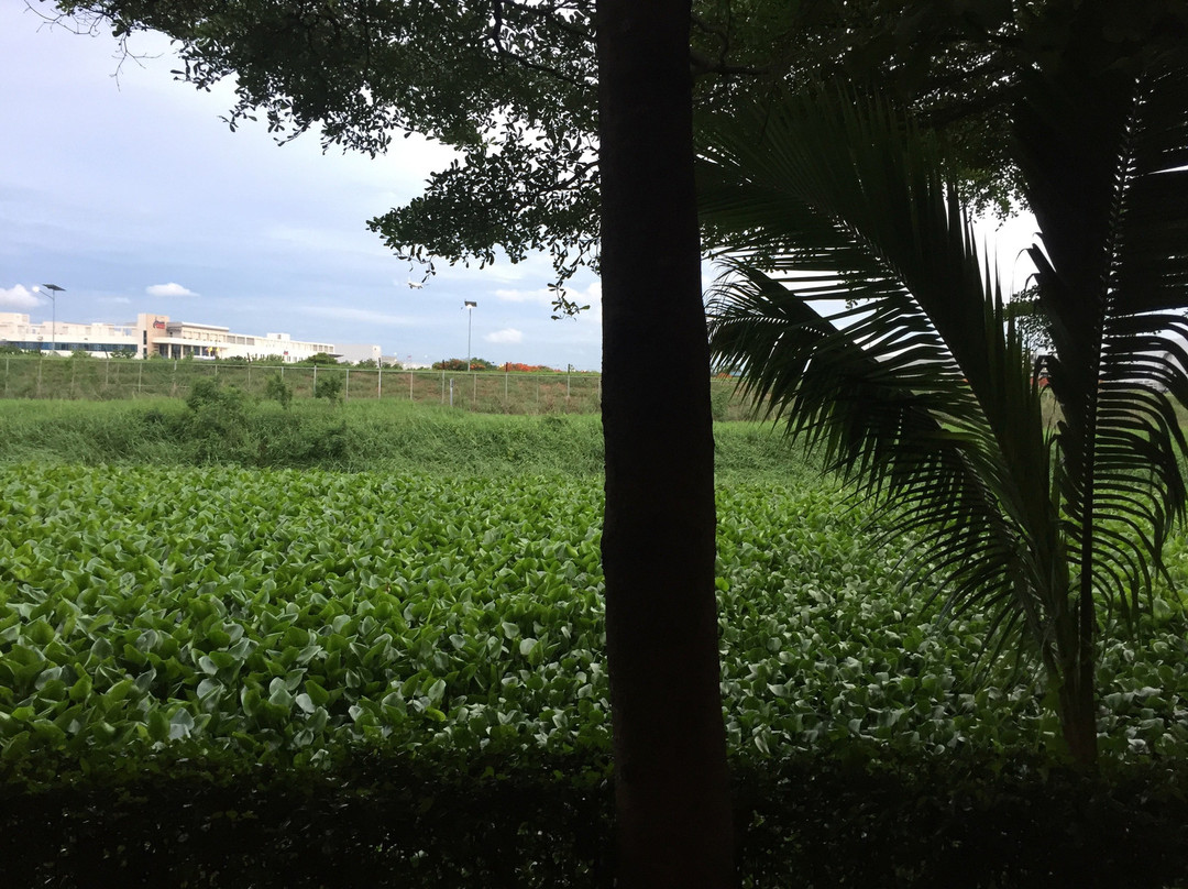 珀昆通精品度假村主图