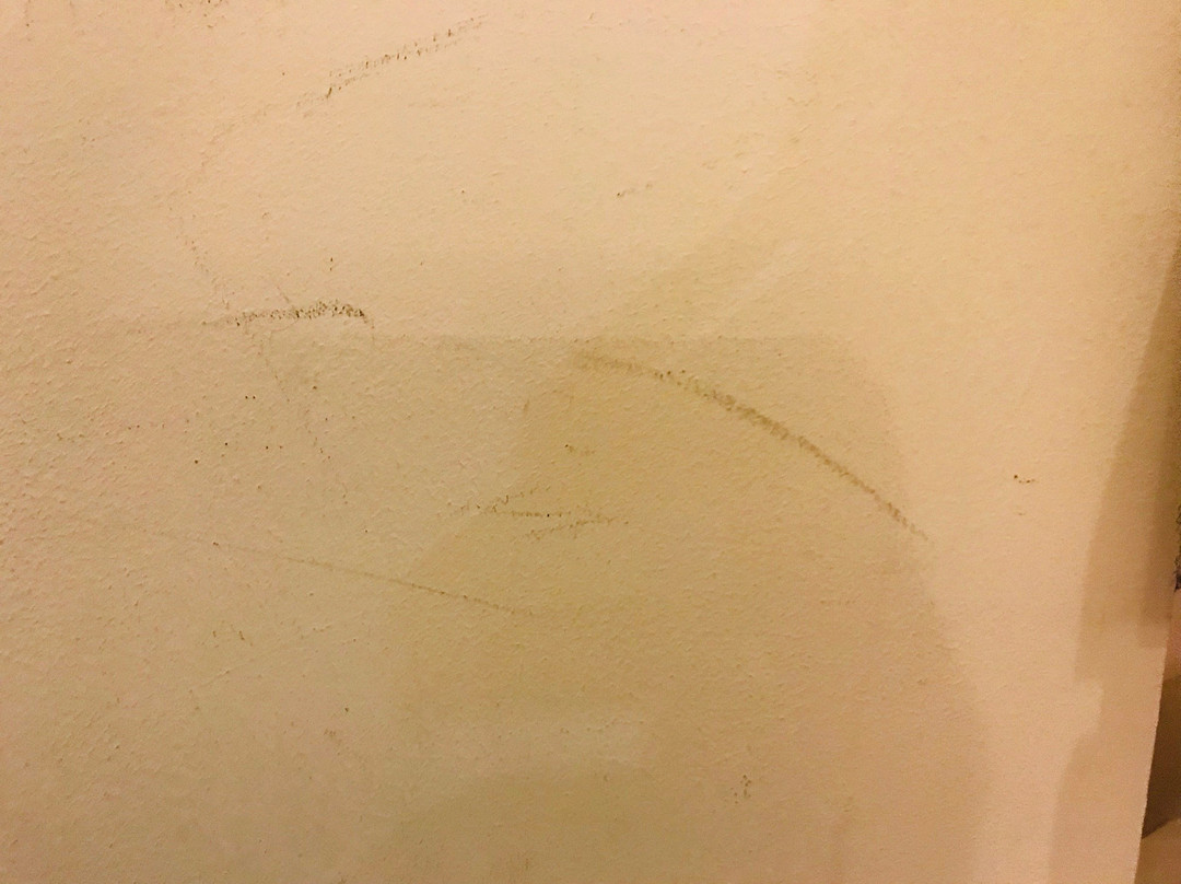 布莱顿酒店和住宿主图