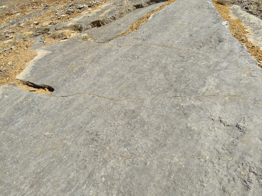 Monumento Natural da Pedreira do Avelino景点图片