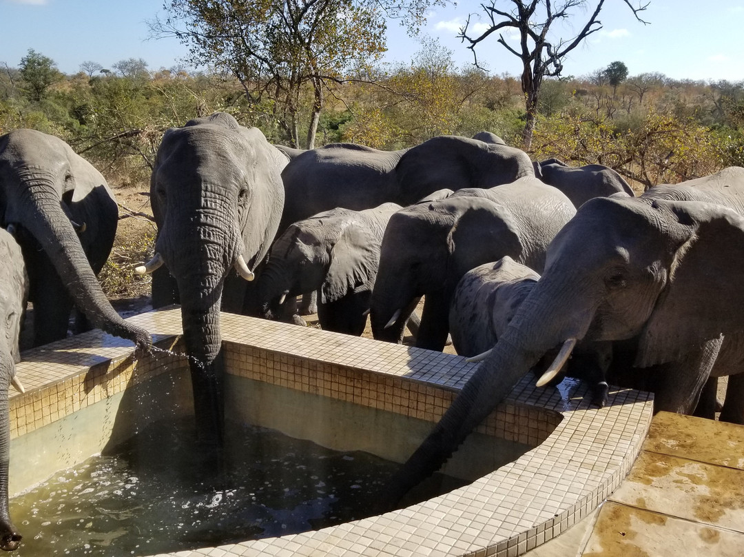 阿拉修萨野生动物园酒店主图