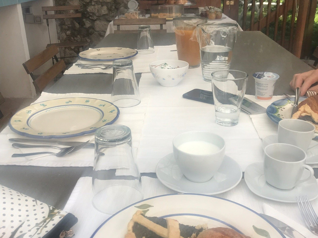 B&B Monticello主图