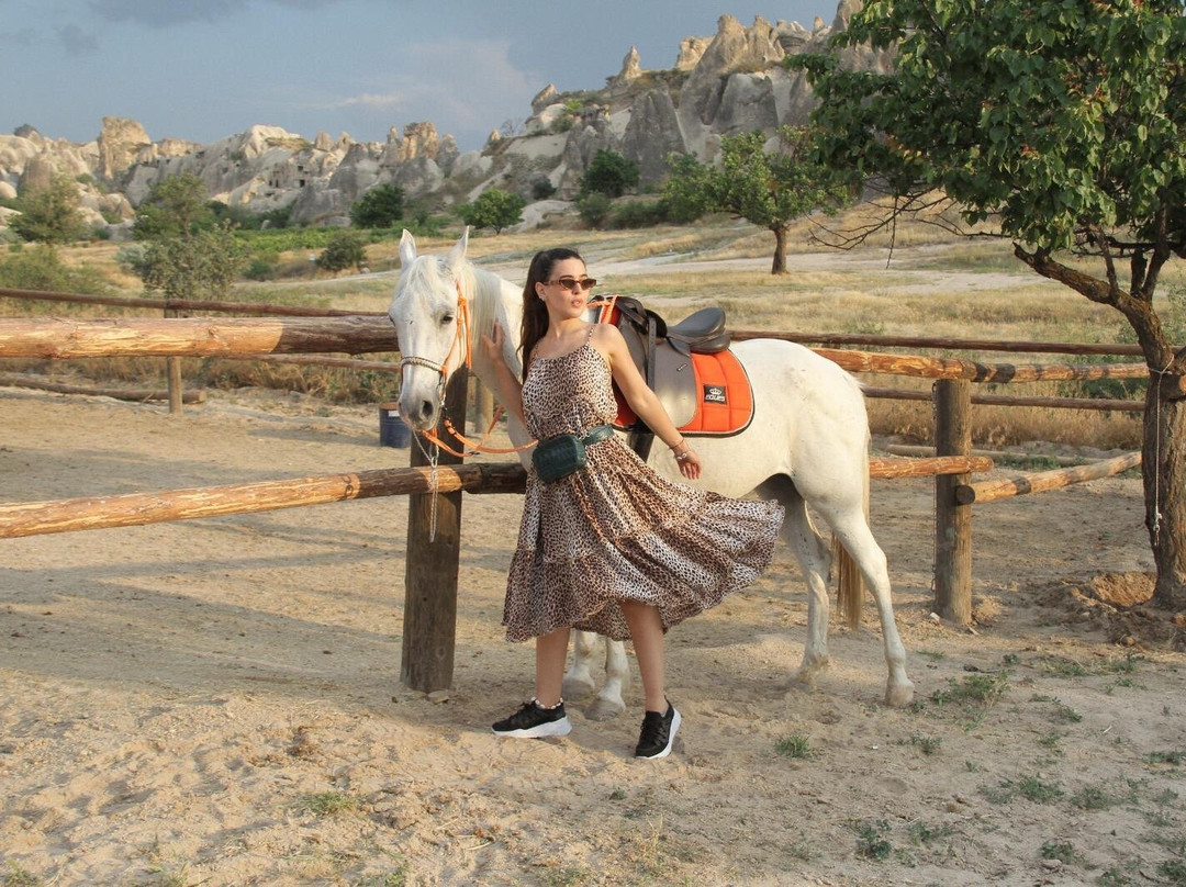 Anatolian Horse Club景点图片