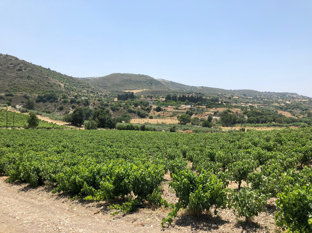 Ktima Christoudia Winery景点图片