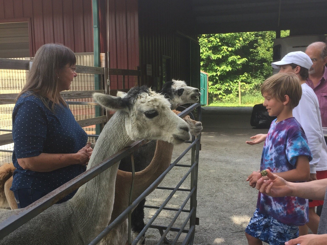 Landmark Farm Alpacas景点图片