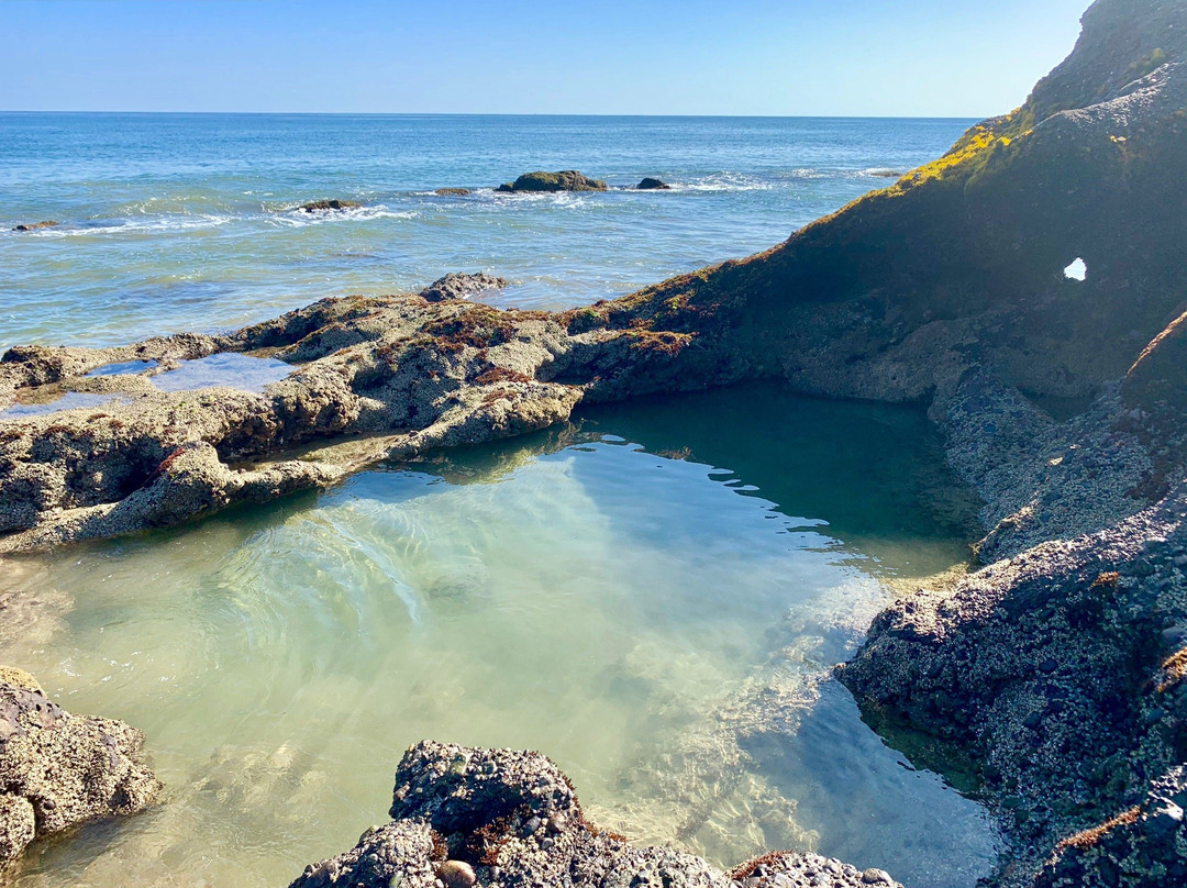 Canoas de Punta Sal Bungalows主图