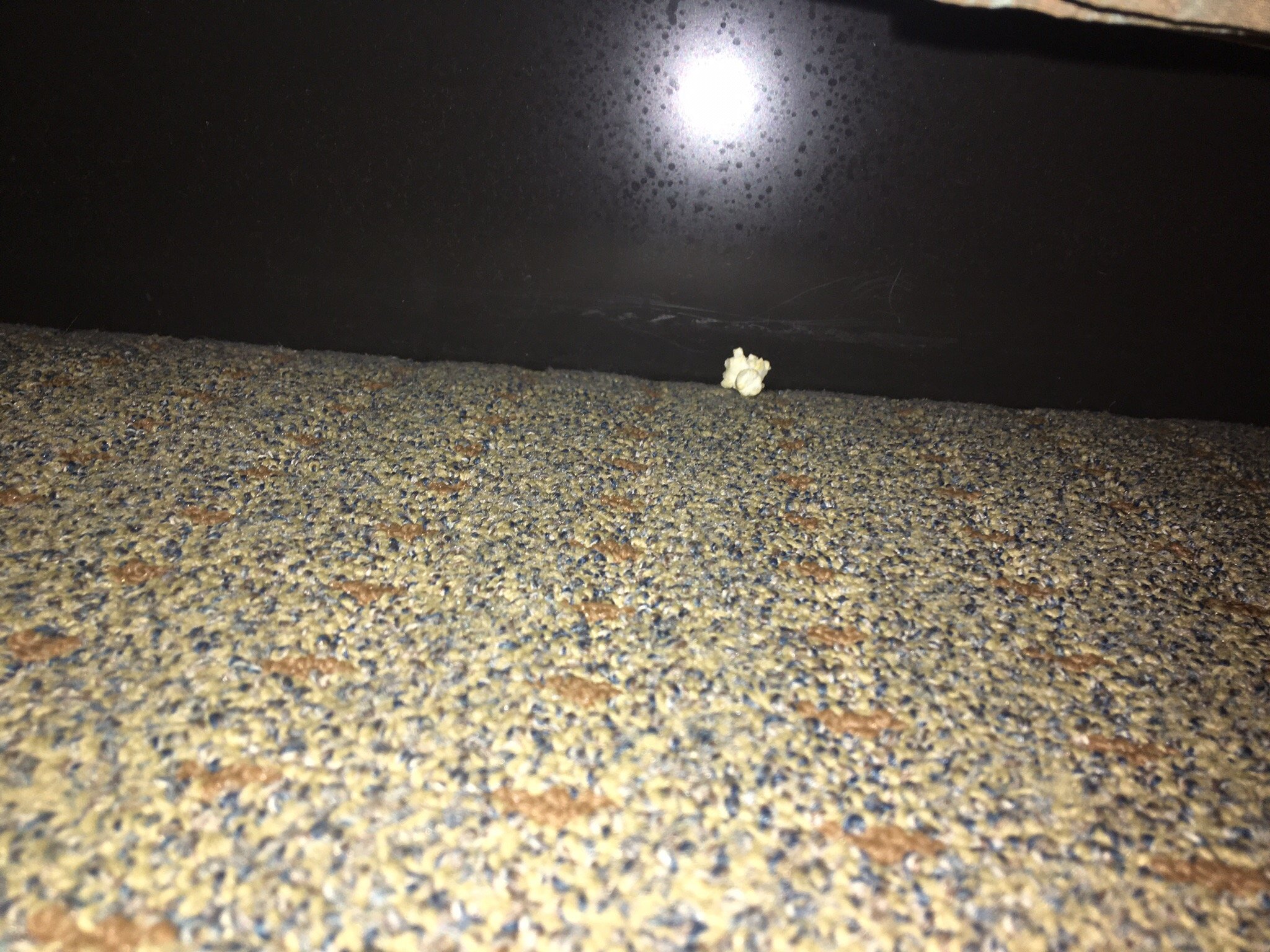 Staybridge Suites Elkhart North by IHG-官方