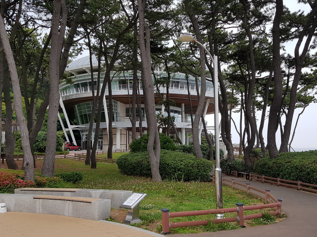 Nurimaru APAC House景点图片