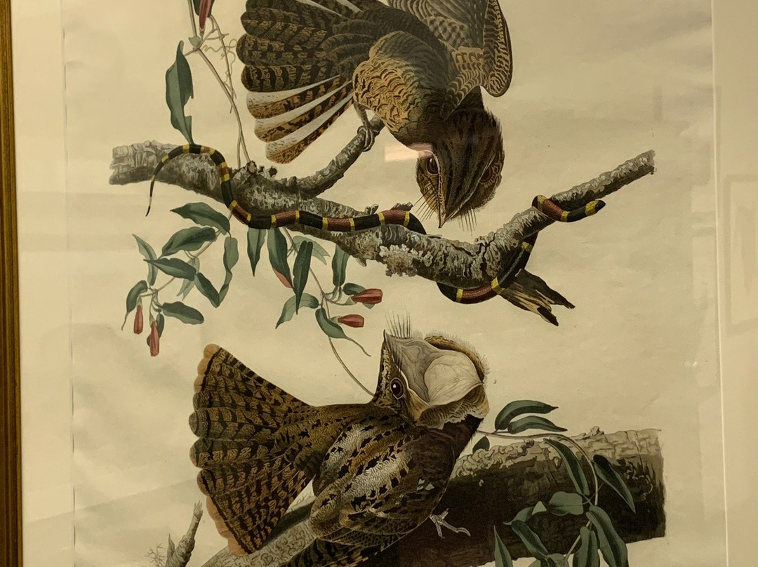 Imperial Calcasieu Museum-莱克查尔斯必去景点